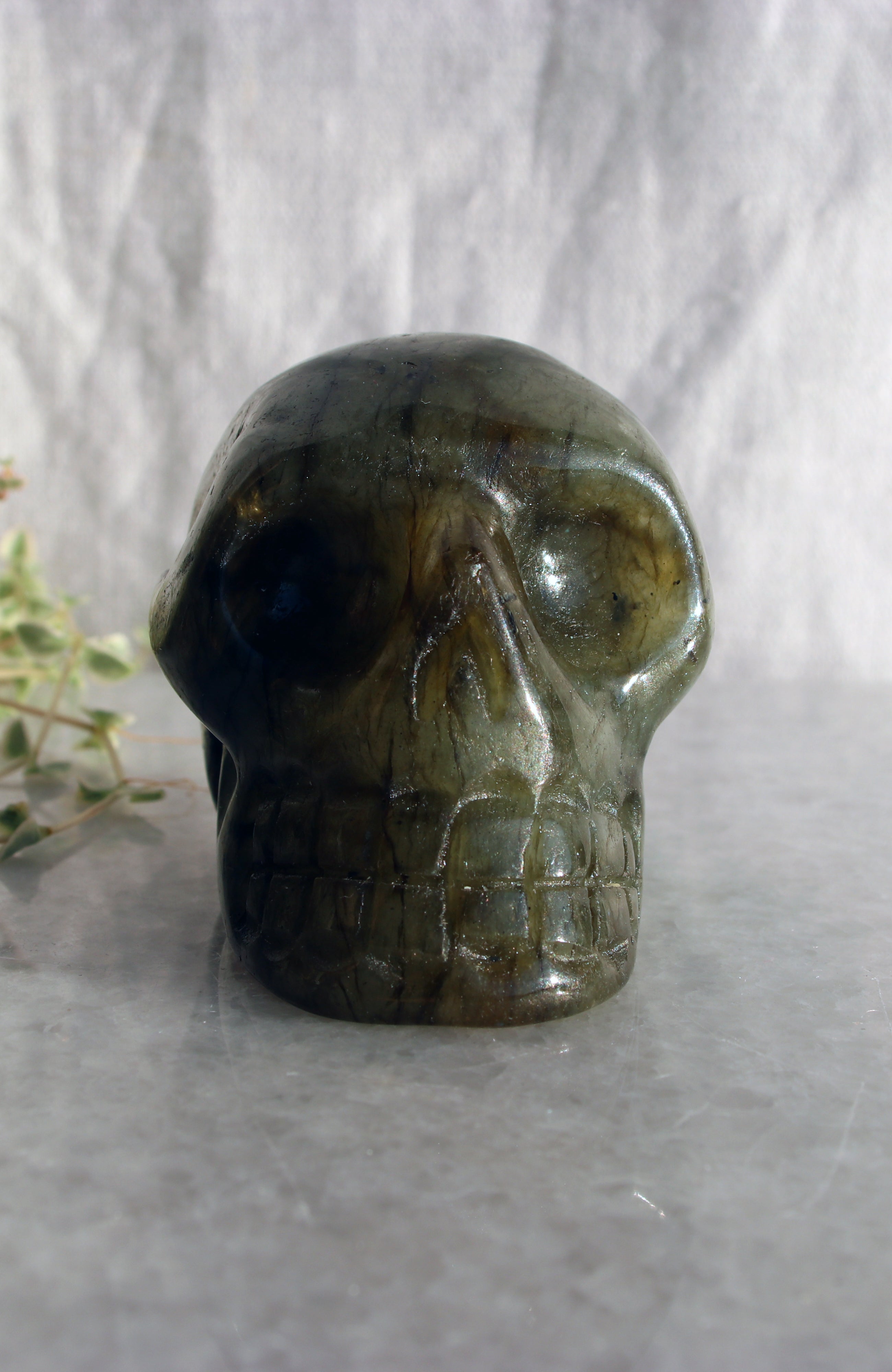 Labradorite Skull